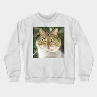 Tabby with white fluffy chest Crewneck Sweatshirt